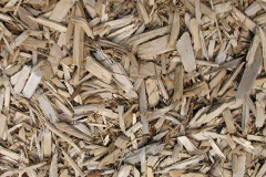 biomass boilers Cotton Tree